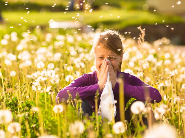 Co pyli w marcu?: marcowy kalendarz alergika