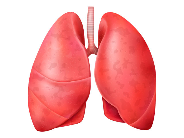 Nadciśnienie płucne – przyczyny, objawy i leczenie