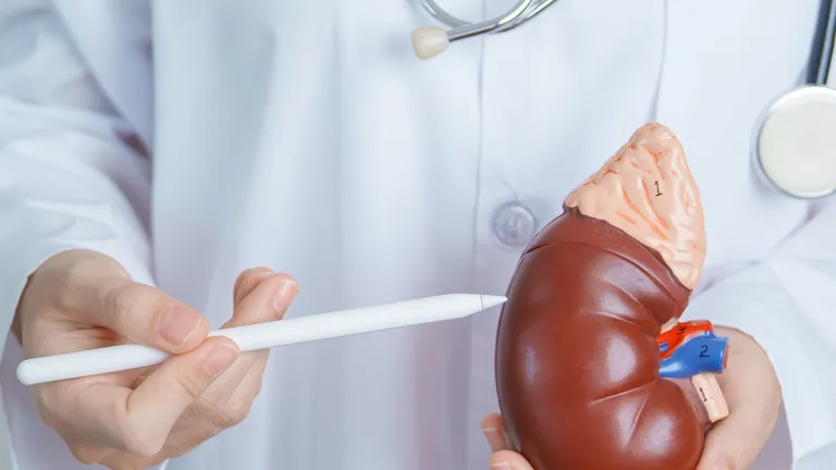 Lekarz nefrolog - Jak mogę Ci pomóc?